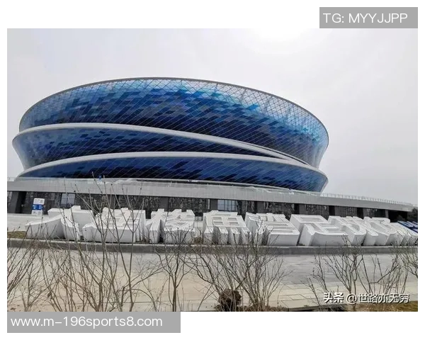 中国专业足球场建设现状与未来发展趋势分析